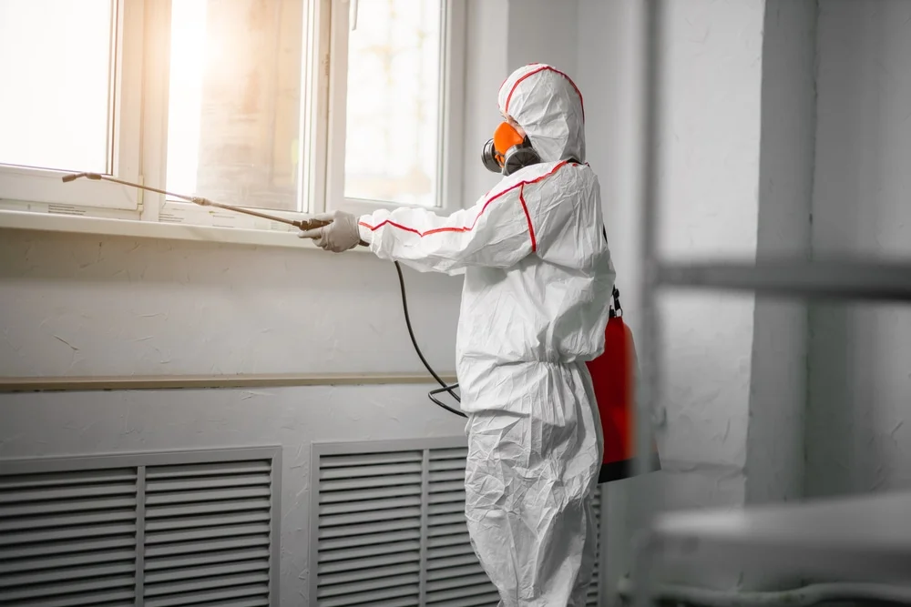 Professional mold remediation services in Spring Park, MN
